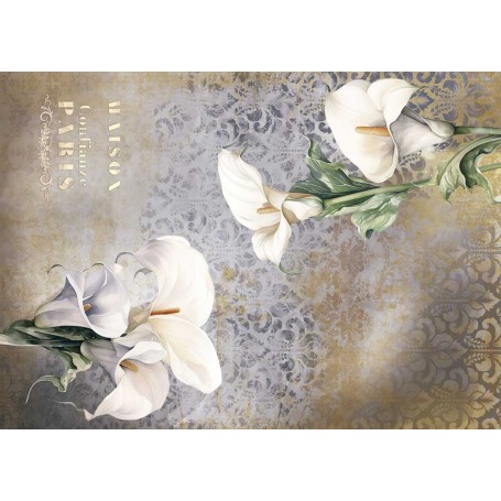 Tela de encuadernar "La Vie En Fleurs Calla Lily II" 70x50cm