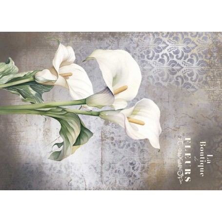 Tela de encuadernar "La Vie En Fleurs Calla Lily III" 70x50cm