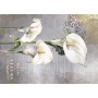 Tela de encuadernar "La Vie En Fleurs Calla Lily IV" 70x50cm