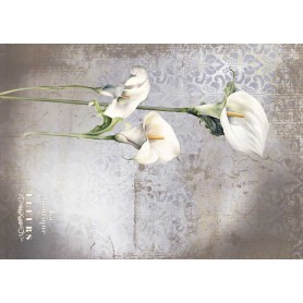 Tela Encuadernar Decorada 70x50cm. "La Petite Vie En Fleurs Calla Lily V"