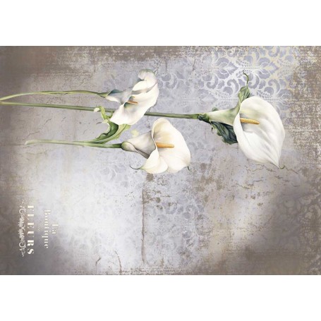 Tela Encuadernar Decorada 70x50cm. "La Petite Vie En Fleurs Calla Lily V"