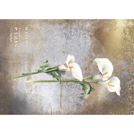 Tela Encuadernar Decorada 70x50cm. "La Petite Vie En Fleurs Calla Lily III"