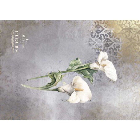 Tela Encuadernar Decorada 70x50cm. "La Petite Vie En Fleurs Calla Lily I"
