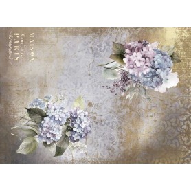 Tela de encuadernar "La Petite Vie En Fleurs Hydrangeas III" 70x50cm