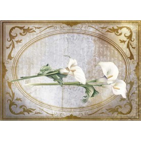 Tela Encuadernar Calla Lily IV 70x50cm La Petite Vie En Fleurs