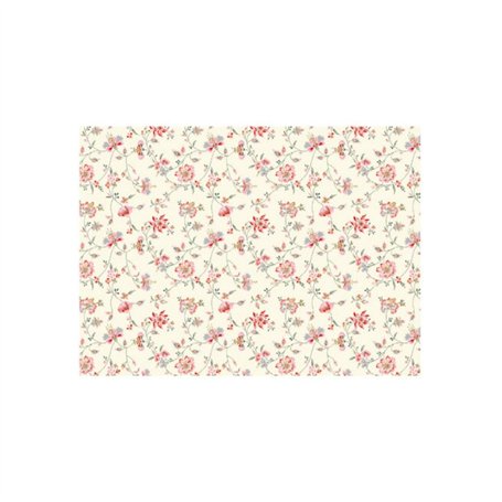 2 Papeles ROSSI CRT230 50x70cm