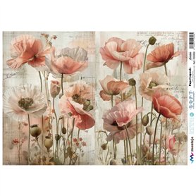 PAPEL DE ARROZ JAPONES SPA5965 A3 30x41cm