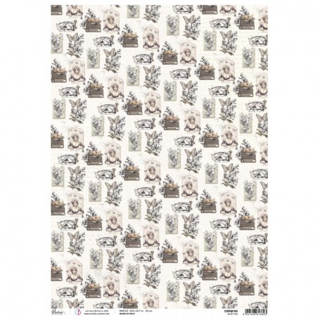 Rice Paper A3 Ink & Type