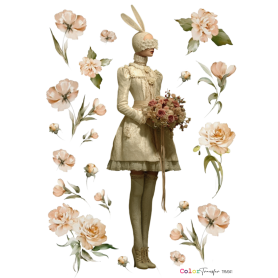 COLOR TRANSFER 27X21 cm