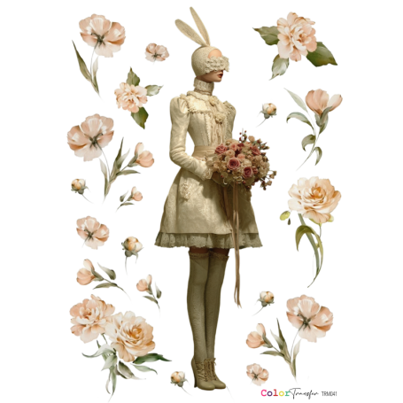 COLOR TRANSFER 27X21 cm