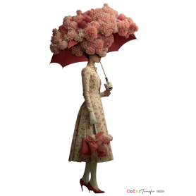 COLOR TRANSFER 27X21 cm