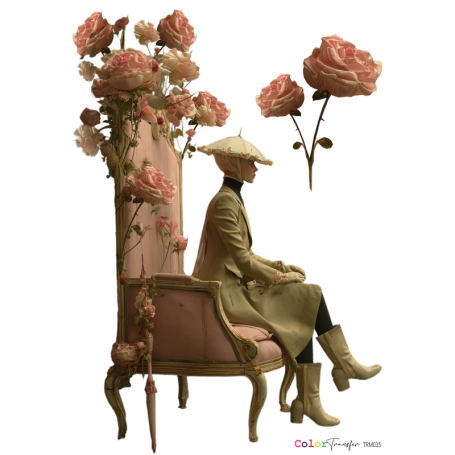 COLOR TRANSFER 27X21 cm