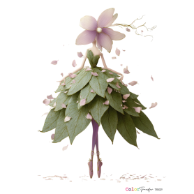 COLOR TRANSFER 27x21cm