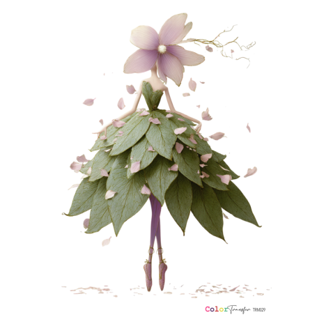 COLOR TRANSFER 27x21cm