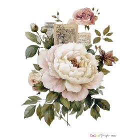 COLOR TRANSFER 27x21cm