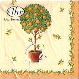 Servilletas decoupage Citro Sinensis pack 20 unidades