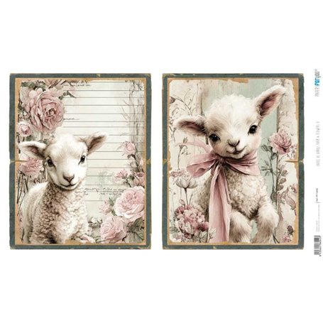 Papel Arroz 54×33 cm 25-30 gr. "Farm & Flowers II"