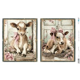 Papel Arroz 54×33 cm 25-30 gr. "Farm & Flowers I"