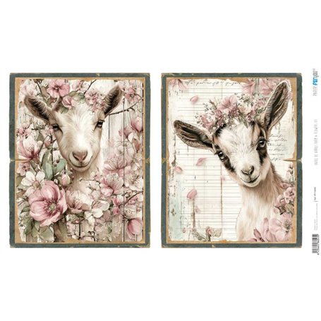 Papel Arroz 54×33 cm 25-30 gr. "Farm & Flowers III"