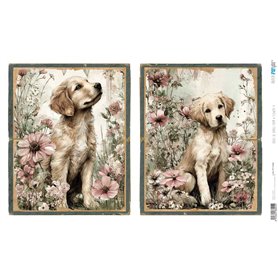 Papel Arroz 54×33 cm 25-30 gr. "Farm & Flowers V"