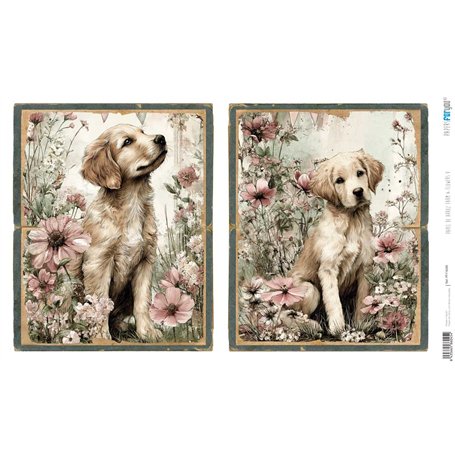 Papel Arroz 54×33 cm 25-30 gr. "Farm & Flowers V"