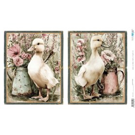 Papel Arroz 54×33 cm 25-30 gr. "Farm & Flowers VII"