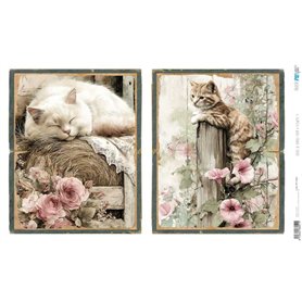 Papel Arroz 54×33 cm 25-30 gr. "Farm & Flowers X"