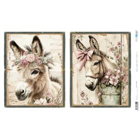 Papel Arroz 54×33 cm 25-30 gr. "Farm & Flowers XI"