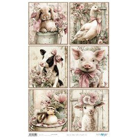 Papel Arroz 54×33 cm 25-30 gr. "Farm & Flowers XIII"