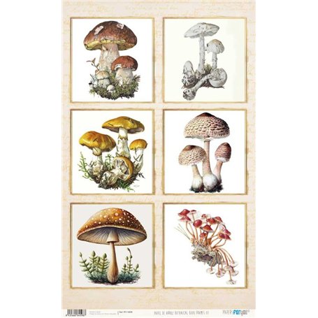 Papel De Setas Botánicas III 54x33cm