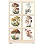 Papel De Setas Botánicas III 54x33cm