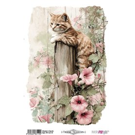 Thermo Transfers 20x30cm (Farm & Flowers Cats)
