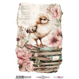 Thermo Transfers 20x30cm (Farm & Flowers Chicks)
