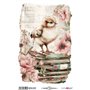 Thermo Transfers 20x30cm (Farm & Flowers Chicks)