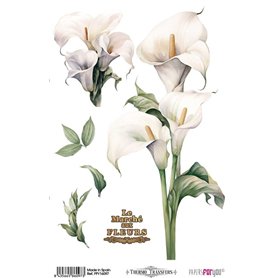 Thermo Transfers 20x30cm Calla Lily