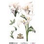 Thermo Transfers 20x30cm Calla Lily