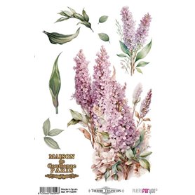 Thermo Transfers 20x30cm Lilacs