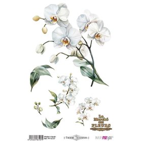 Thermo Transfers 20x30cm White Orchids
