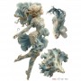 COLOR TRANSFER 27X21 cm