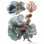 COLOR TRANSFER TRM059 27X21 cm