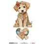 Thermo Transfers 20x30cm (Patchwork Paws I)