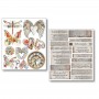 Sticker Set 10/Pkg The sound of spring