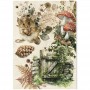 Rice Paper Set A5 MIXED 8/Pkg The Nature Journal