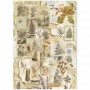 Rice Paper Set A5 MIXED 8/Pkg The Nature Journal