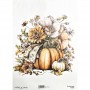 Papel arroz NAGI Cadence A3