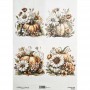 Papel arroz NAGI Cadence A3