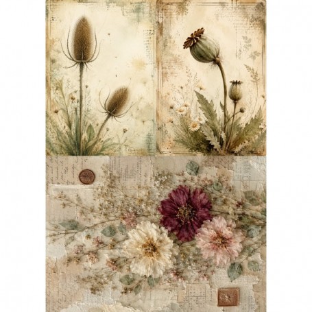 Papel de Arroz Soft A3 30x41cm