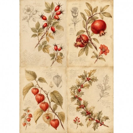 Papel de Arroz Soft A3 30x41cm