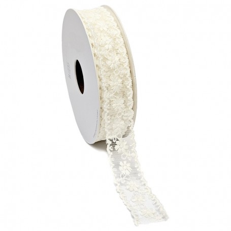 LACITE ribbon 10m/20mm